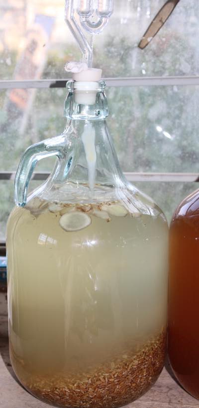 1-gallon-wheat-beer-recipe-is-easy-to-fix-in-your-own-kitchen