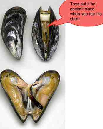 mussels saltwater recipes purchasing blue bernard preston