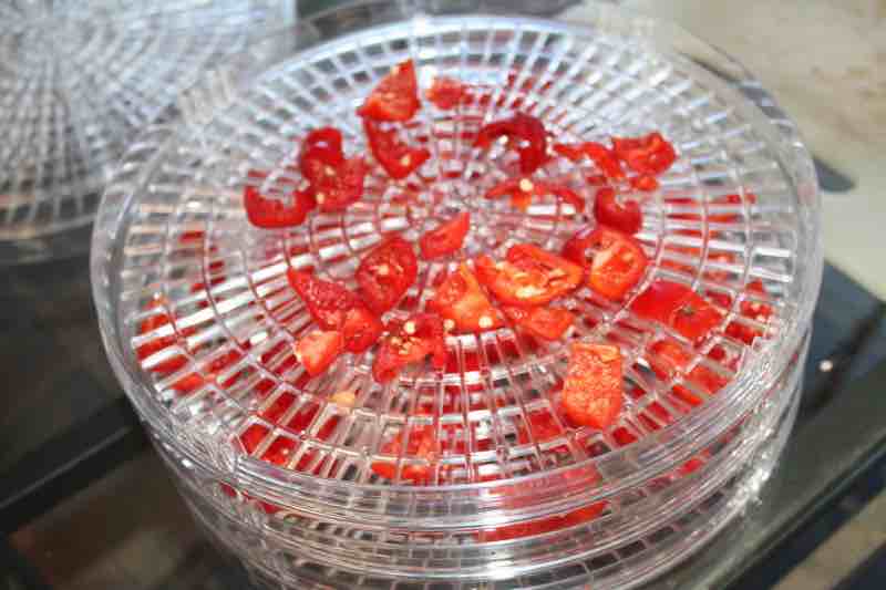 Dry! Dry! Dry! Fabulous Dehydrator Recipes and Tips. - Picklebums